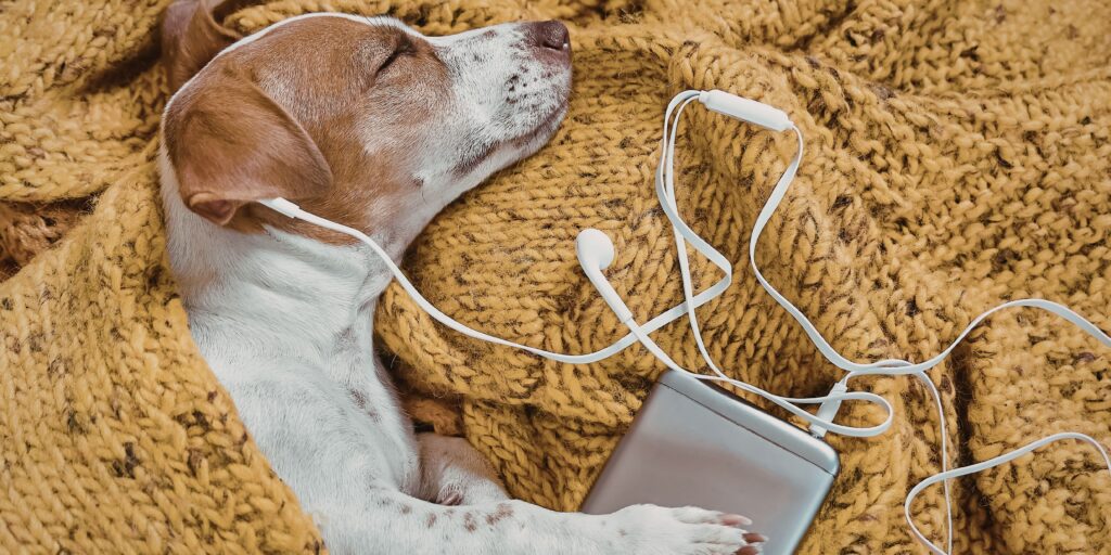 Ak cítiš únavu, stres či smútok, daj si radšej relax s hudbou, ako impulzívny nákup. Zdroj: Canva
